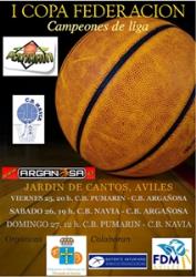 Nace la Copa Federación